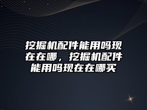 挖掘機配件能用嗎現(xiàn)在在哪，挖掘機配件能用嗎現(xiàn)在在哪買