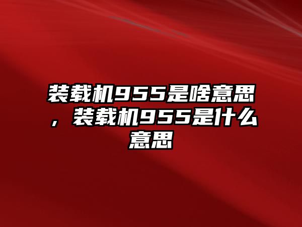 裝載機(jī)955是啥意思，裝載機(jī)955是什么意思