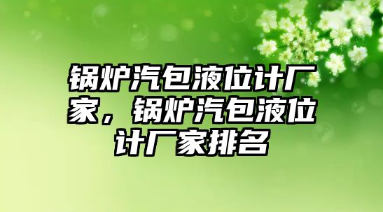 鍋爐汽包液位計(jì)廠家，鍋爐汽包液位計(jì)廠家排名