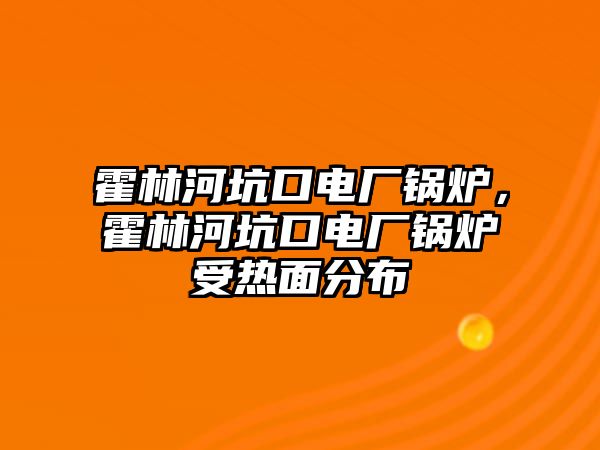 霍林河坑口電廠鍋爐，霍林河坑口電廠鍋爐受熱面分布