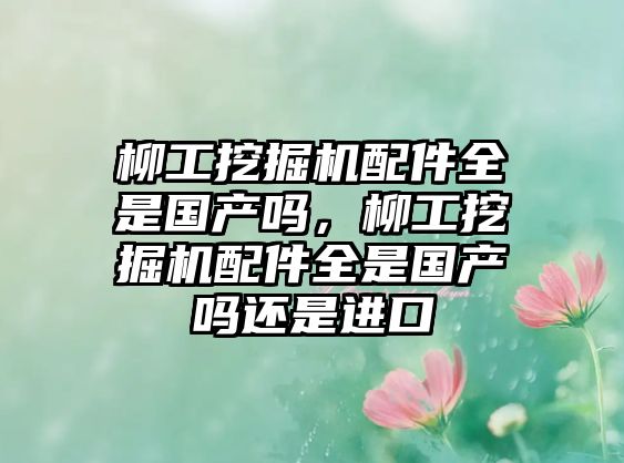 柳工挖掘機配件全是國產(chǎn)嗎，柳工挖掘機配件全是國產(chǎn)嗎還是進口