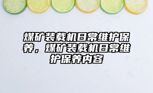 煤礦裝載機日常維護保養(yǎng)，煤礦裝載機日常維護保養(yǎng)內容