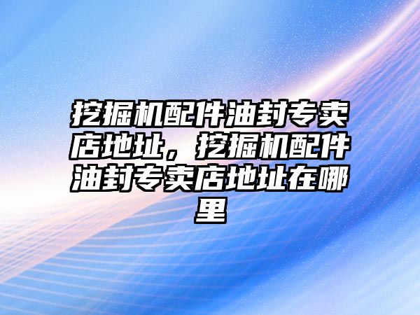 挖掘機(jī)配件油封專賣店地址，挖掘機(jī)配件油封專賣店地址在哪里