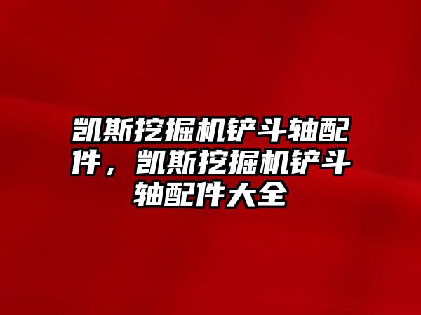 凱斯挖掘機鏟斗軸配件，凱斯挖掘機鏟斗軸配件大全