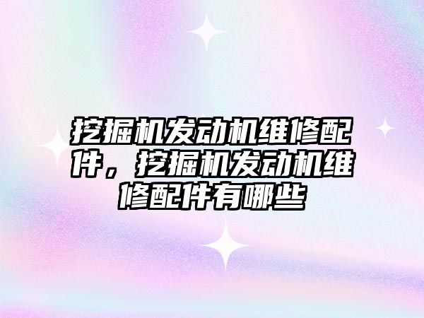 挖掘機發(fā)動機維修配件，挖掘機發(fā)動機維修配件有哪些