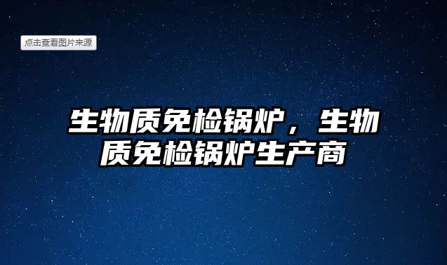 生物質(zhì)免檢鍋爐，生物質(zhì)免檢鍋爐生產(chǎn)商