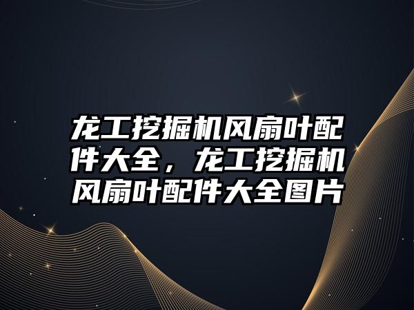 龍工挖掘機風扇葉配件大全，龍工挖掘機風扇葉配件大全圖片