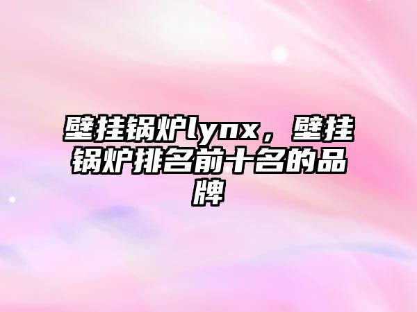 壁掛鍋爐lynx，壁掛鍋爐排名前十名的品牌