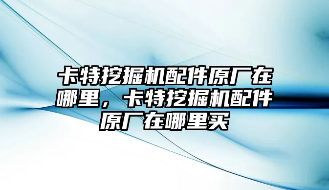 卡特挖掘機配件原廠在哪里，卡特挖掘機配件原廠在哪里買