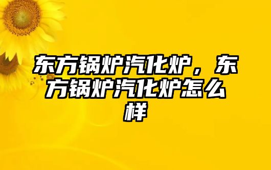 東方鍋爐汽化爐，東方鍋爐汽化爐怎么樣