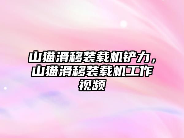 山貓滑移裝載機鏟力，山貓滑移裝載機工作視頻