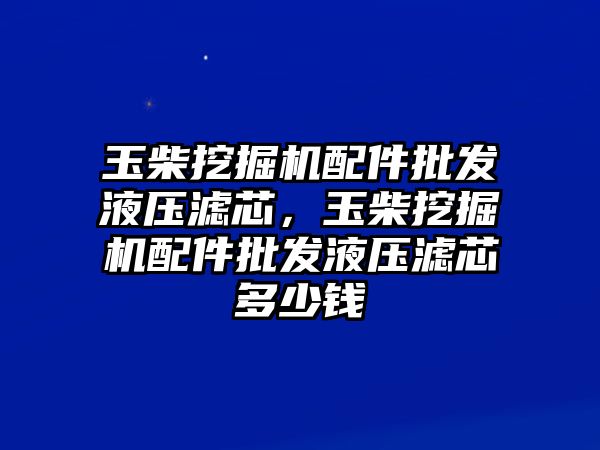 玉柴挖掘機(jī)配件批發(fā)液壓濾芯，玉柴挖掘機(jī)配件批發(fā)液壓濾芯多少錢