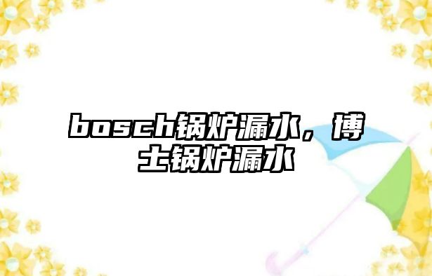 bosch鍋爐漏水，博士鍋爐漏水