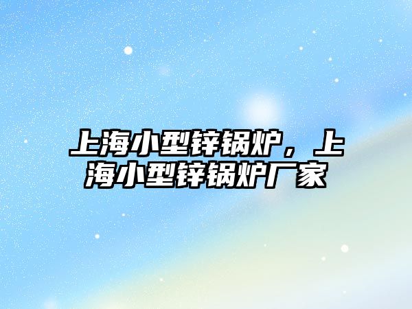 上海小型鋅鍋爐，上海小型鋅鍋爐廠家