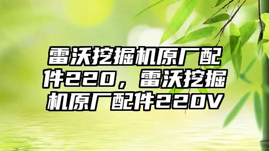 雷沃挖掘機(jī)原廠配件220，雷沃挖掘機(jī)原廠配件220V