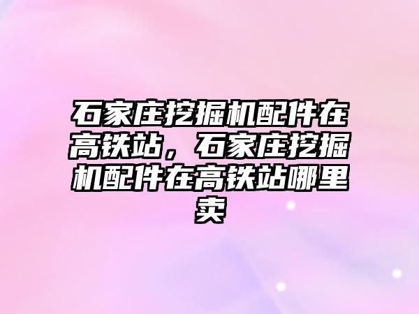 石家莊挖掘機配件在高鐵站，石家莊挖掘機配件在高鐵站哪里賣