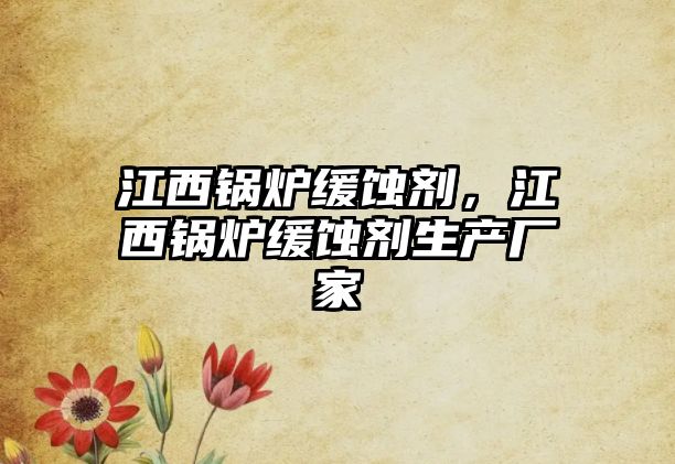 江西鍋爐緩蝕劑，江西鍋爐緩蝕劑生產(chǎn)廠(chǎng)家