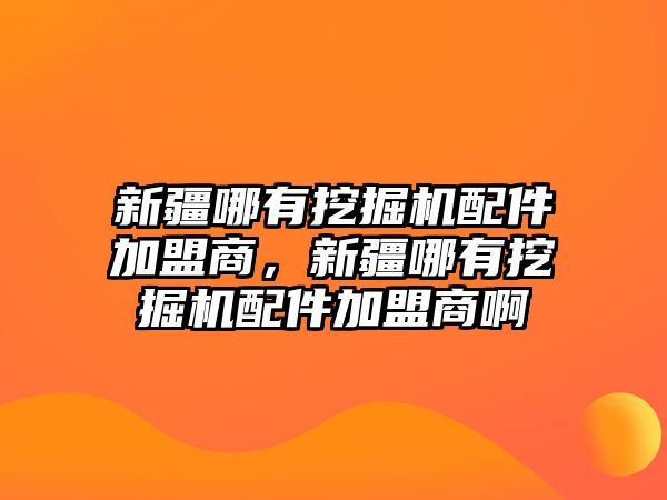 新疆哪有挖掘機(jī)配件加盟商，新疆哪有挖掘機(jī)配件加盟商啊