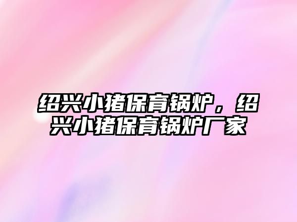 紹興小豬保育鍋爐，紹興小豬保育鍋爐廠家