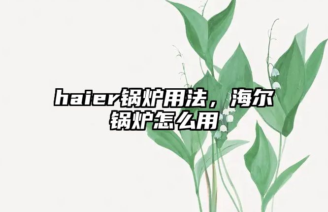 haier鍋爐用法，海爾鍋爐怎么用