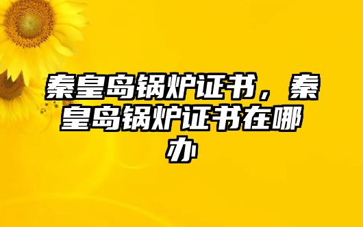 秦皇島鍋爐證書，秦皇島鍋爐證書在哪辦