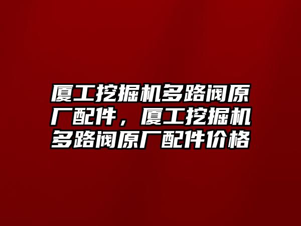 廈工挖掘機(jī)多路閥原廠配件，廈工挖掘機(jī)多路閥原廠配件價(jià)格