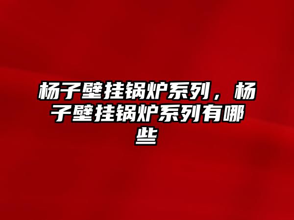 楊子壁掛鍋爐系列，楊子壁掛鍋爐系列有哪些