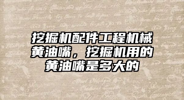 挖掘機配件工程機械黃油嘴，挖掘機用的黃油嘴是多大的