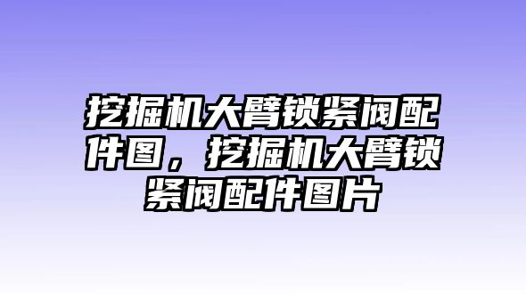 挖掘機(jī)大臂鎖緊閥配件圖，挖掘機(jī)大臂鎖緊閥配件圖片