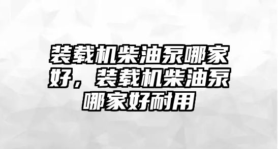 裝載機柴油泵哪家好，裝載機柴油泵哪家好耐用