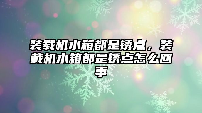 裝載機水箱都是銹點，裝載機水箱都是銹點怎么回事