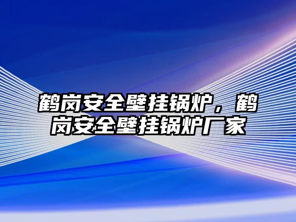 鶴崗安全壁掛鍋爐，鶴崗安全壁掛鍋爐廠家