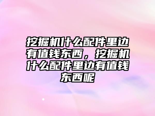 挖掘機(jī)什么配件里邊有值錢東西，挖掘機(jī)什么配件里邊有值錢東西呢