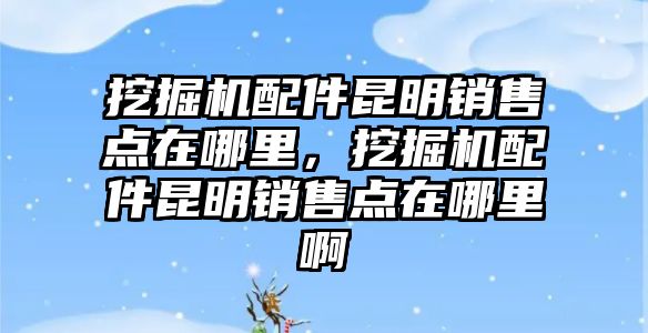 挖掘機配件昆明銷售點在哪里，挖掘機配件昆明銷售點在哪里啊