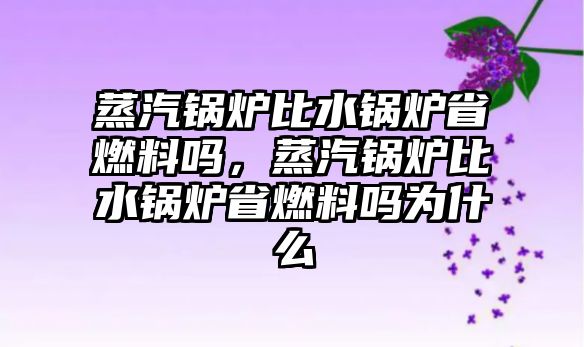 蒸汽鍋爐比水鍋爐省燃料嗎，蒸汽鍋爐比水鍋爐省燃料嗎為什么