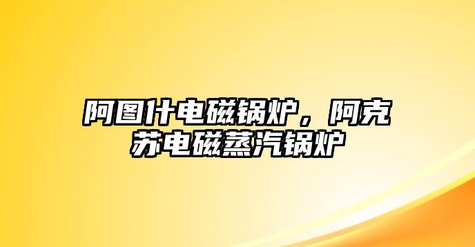 阿圖什電磁鍋爐，阿克蘇電磁蒸汽鍋爐