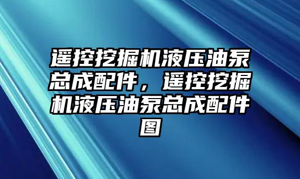 遙控挖掘機液壓油泵總成配件，遙控挖掘機液壓油泵總成配件圖