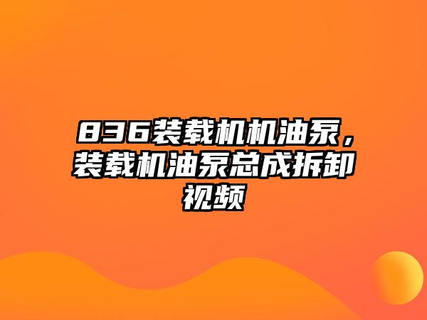 836裝載機(jī)機(jī)油泵，裝載機(jī)油泵總成拆卸視頻