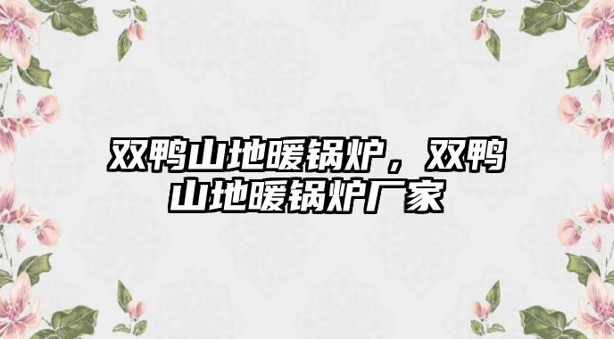 雙鴨山地暖鍋爐，雙鴨山地暖鍋爐廠家