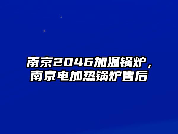 南京2046加溫鍋爐，南京電加熱鍋爐售后