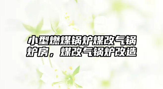 小型燃煤鍋爐煤改氣鍋爐房，煤改氣鍋爐改造