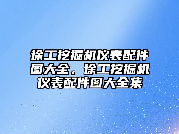 徐工挖掘機儀表配件圖大全，徐工挖掘機儀表配件圖大全集