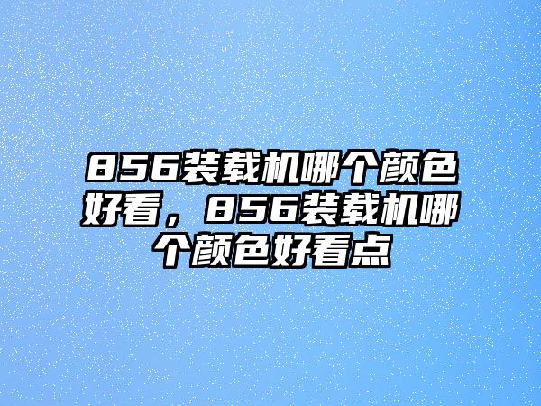 856裝載機(jī)哪個顏色好看，856裝載機(jī)哪個顏色好看點(diǎn)