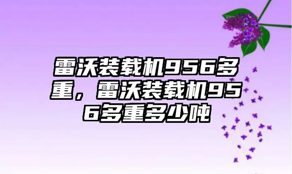 雷沃裝載機956多重，雷沃裝載機956多重多少噸