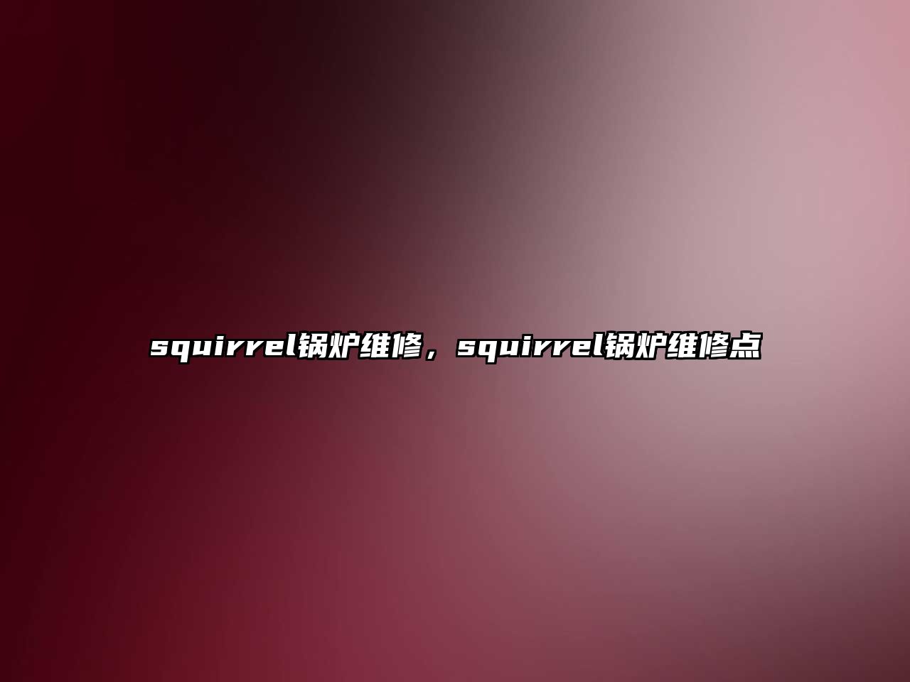 squirrel鍋爐維修，squirrel鍋爐維修點(diǎn)