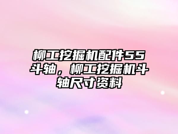 柳工挖掘機配件55斗軸，柳工挖掘機斗軸尺寸資料