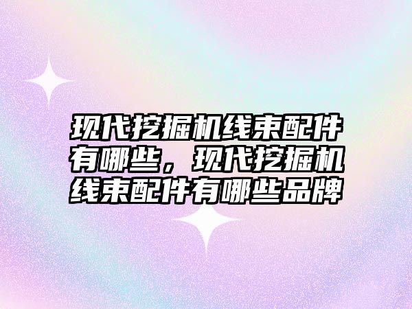 現(xiàn)代挖掘機線束配件有哪些，現(xiàn)代挖掘機線束配件有哪些品牌