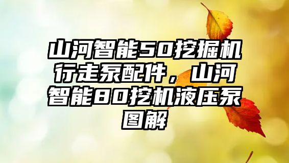 山河智能50挖掘機(jī)行走泵配件，山河智能80挖機(jī)液壓泵圖解