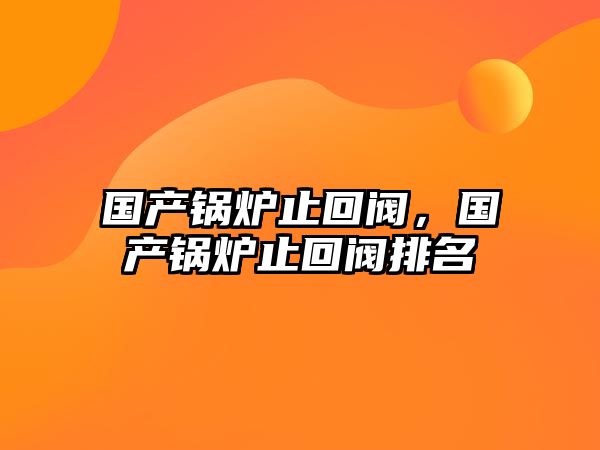 國產(chǎn)鍋爐止回閥，國產(chǎn)鍋爐止回閥排名