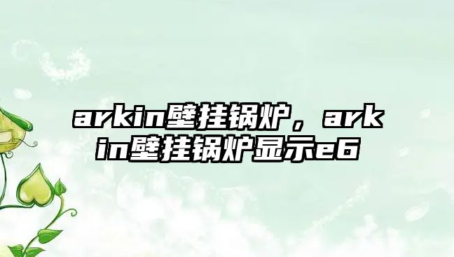 arkin壁掛鍋爐，arkin壁掛鍋爐顯示e6